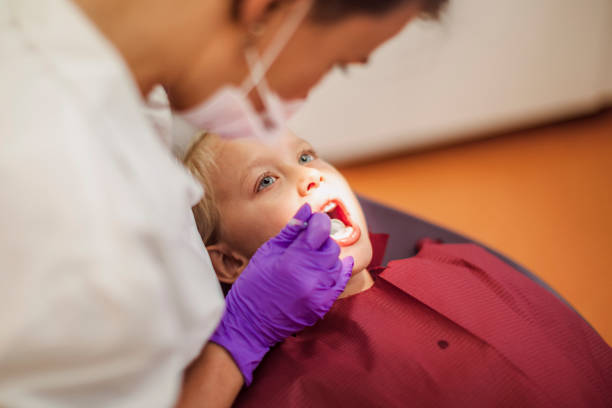 Best Emergency Dental Services for Seniors in Lambertville, MI